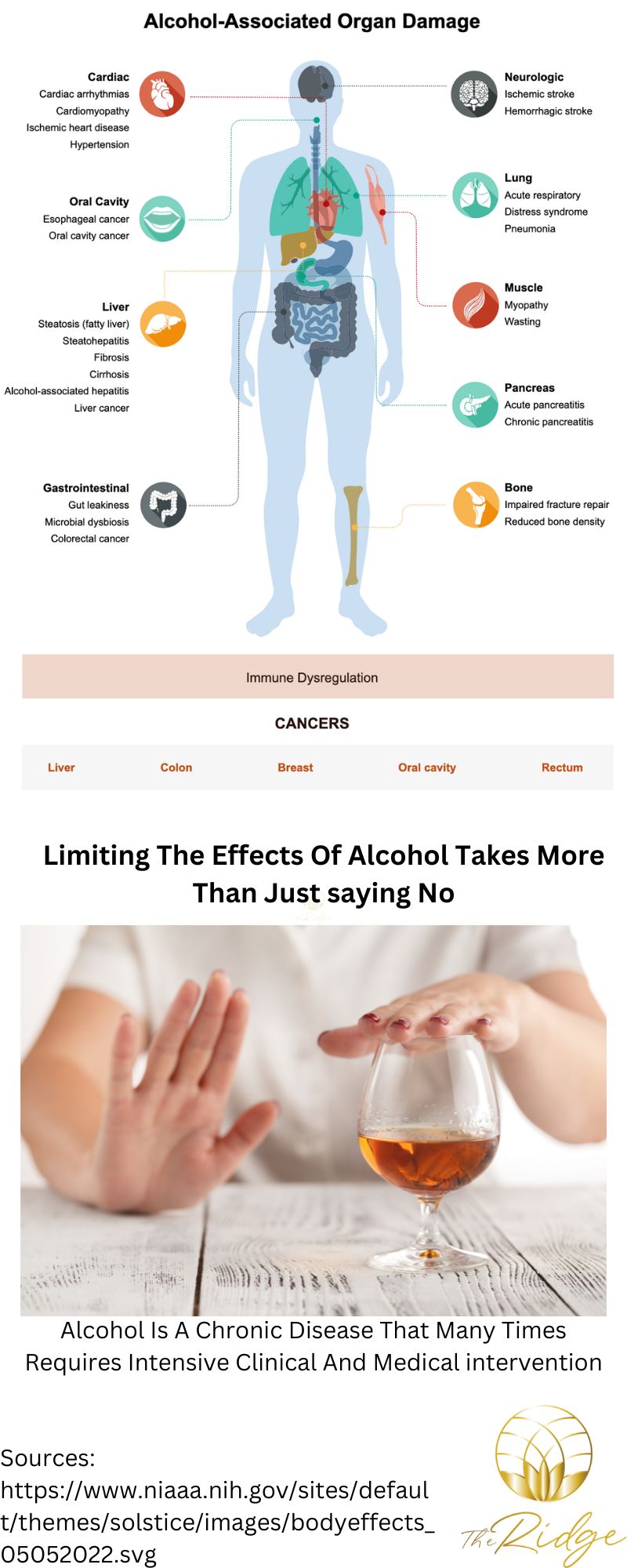 How Does Alcohol Affect Healthy Living? - gmedia