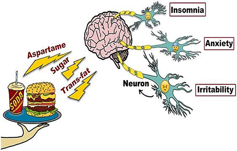 How Does Diet and Nutrition Affect Brain Functioning? - gmedia