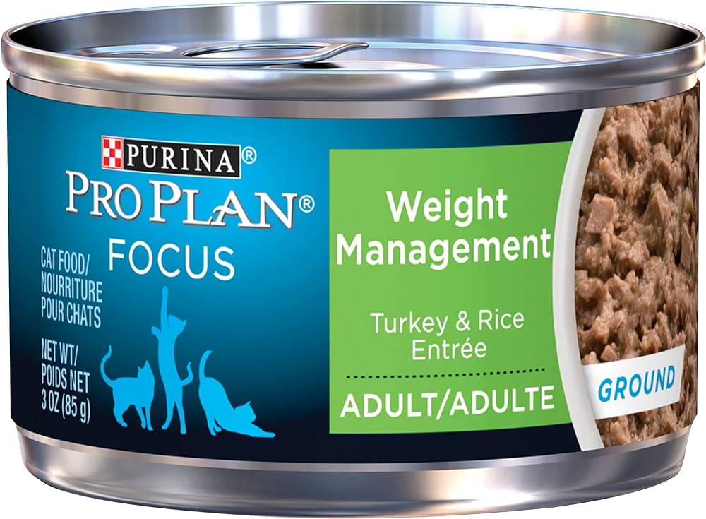 What Is the Best Wet Cat Food for Weight Loss? - gmedia