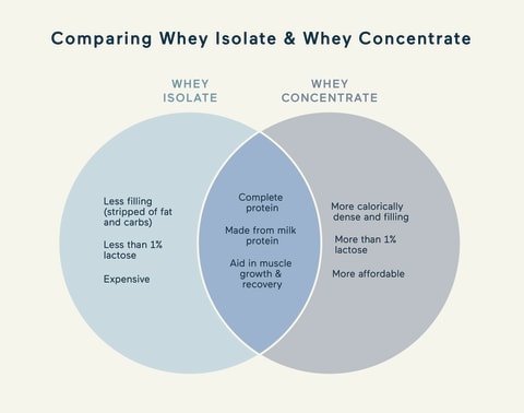 Whey Concentrate vs Isolate Which Is Better? - gmedia