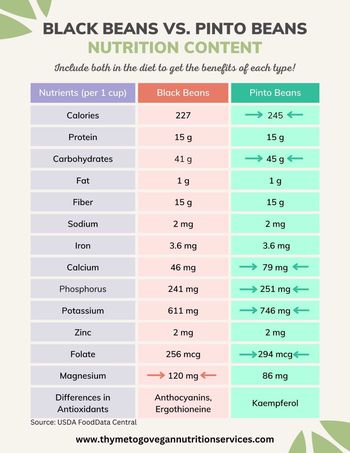 are black beans or pinto beans better for weight loss? - gmedia