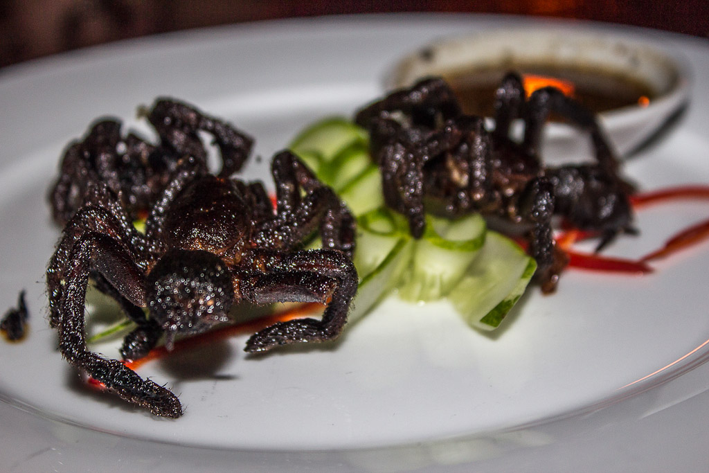 Asian Oddities the Weird Meals Youll Try at Your Own Risk - gmedia