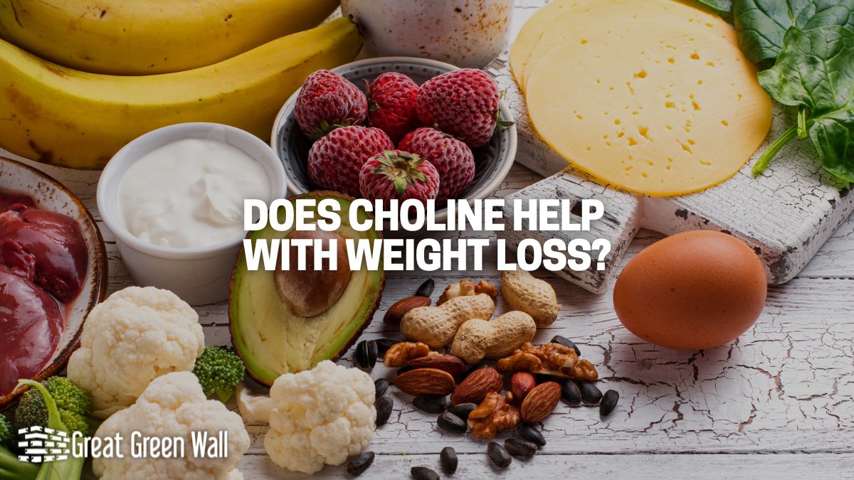 does choline help with weight loss? - gmedia