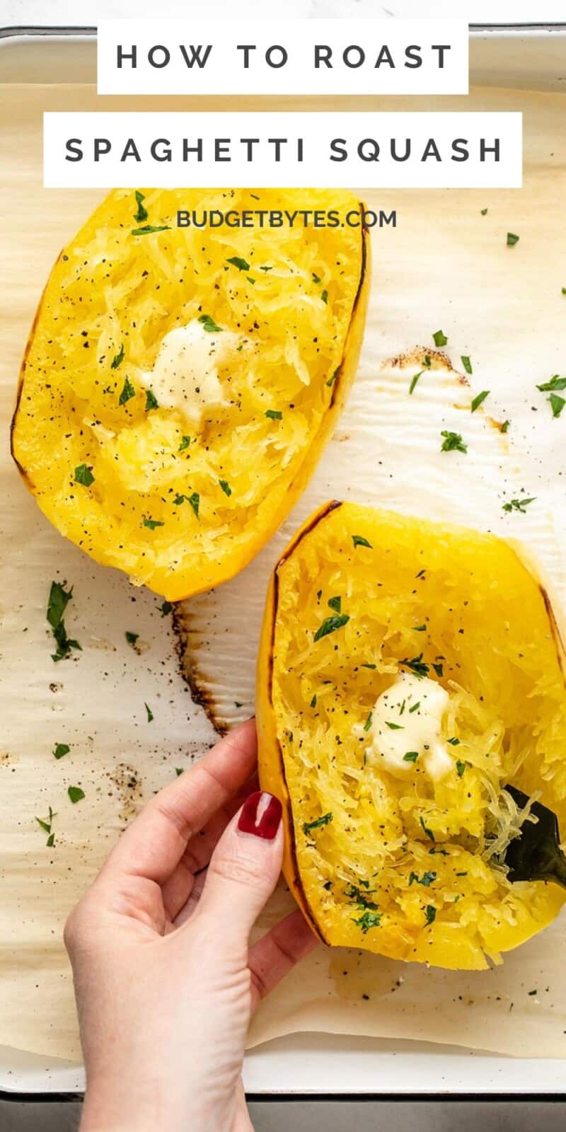 Roasted Spaghetti Squash Budget Bytes - gmedia