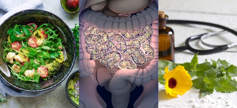 Sibo Survival Story How I Bounced Back From the Silent Gut Condition - gmedia