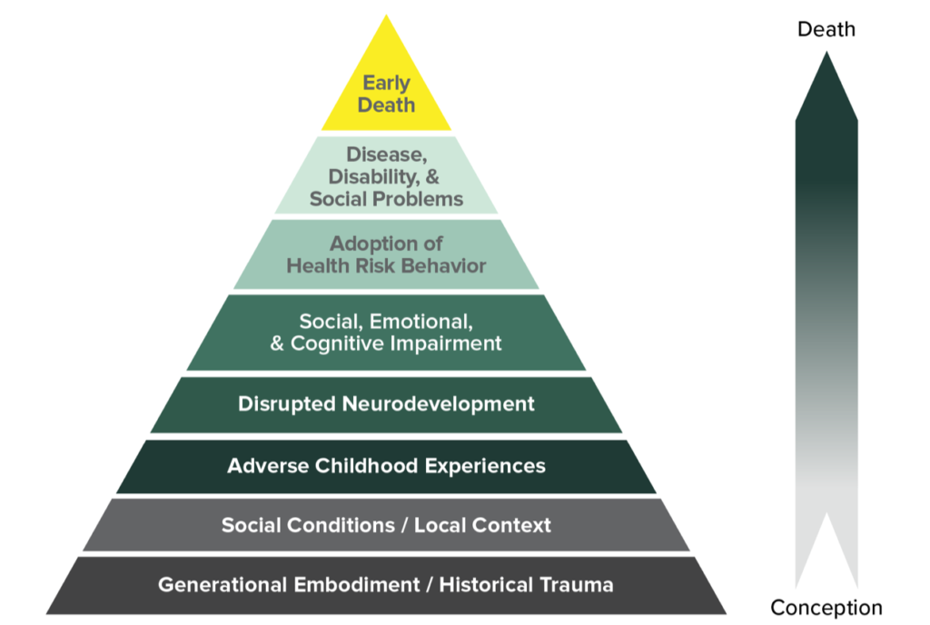 The Impact of Trauma on Mental Health - gmedia