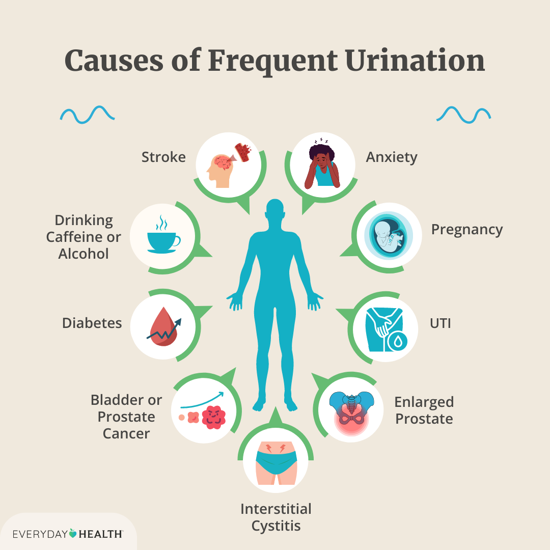 does frequent urination mean weight loss? - gmedia