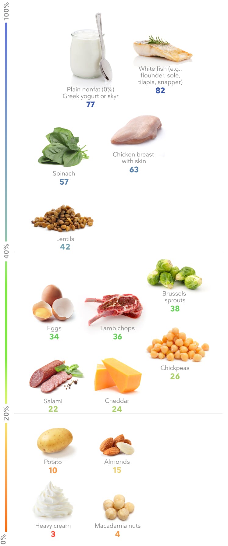 What Foods Are High in Protein for Weight Loss? - gmedia