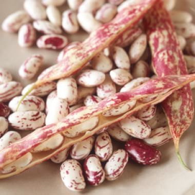 What Are Shell Beans and How Do You Cook Them - gmedia