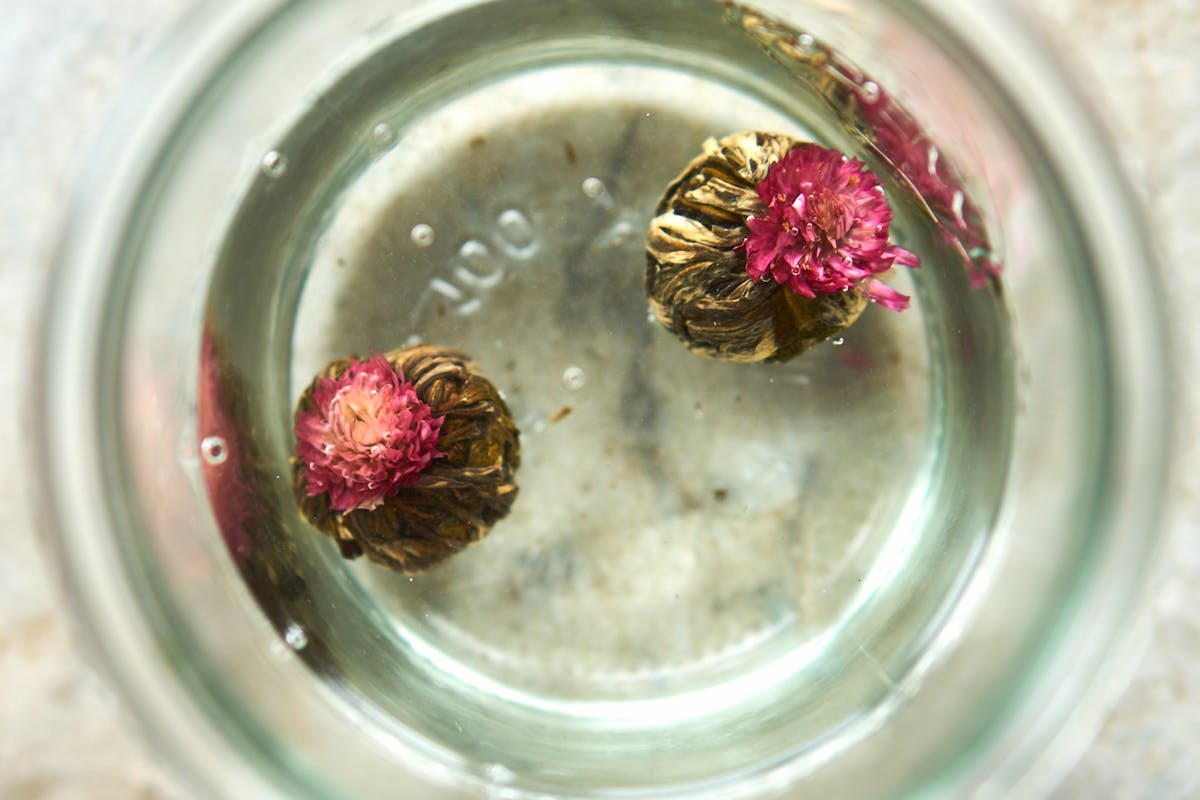 Jasmine Flower Vodka Recipe - gmedia