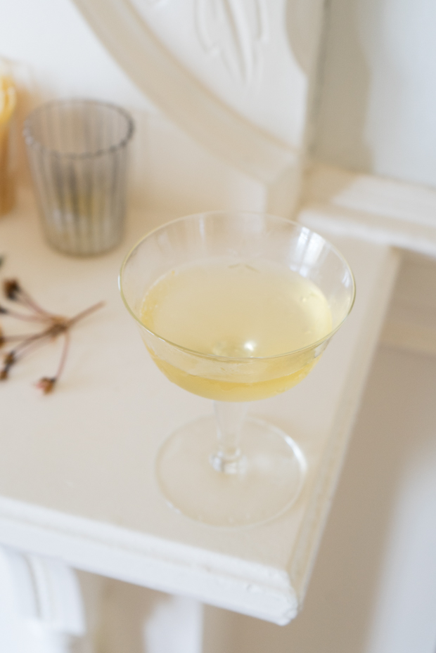 Kombucha Holiday Punch Recipe - gmedia