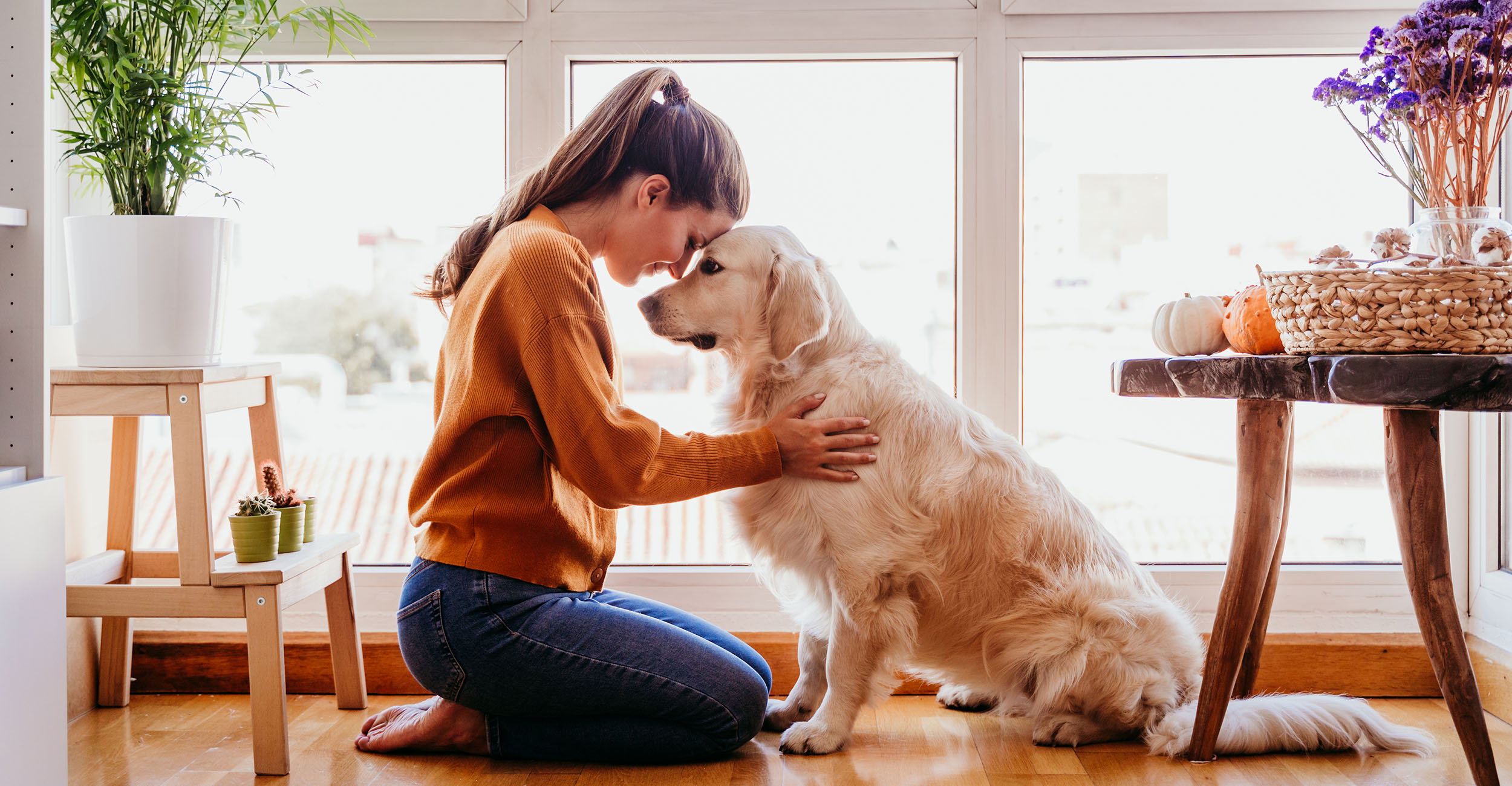 The Role of Pets in Mental Health - gmedia