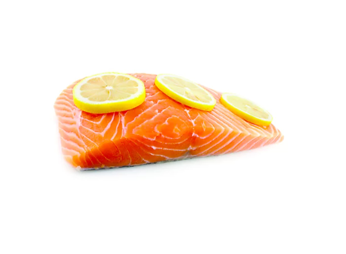 salmon