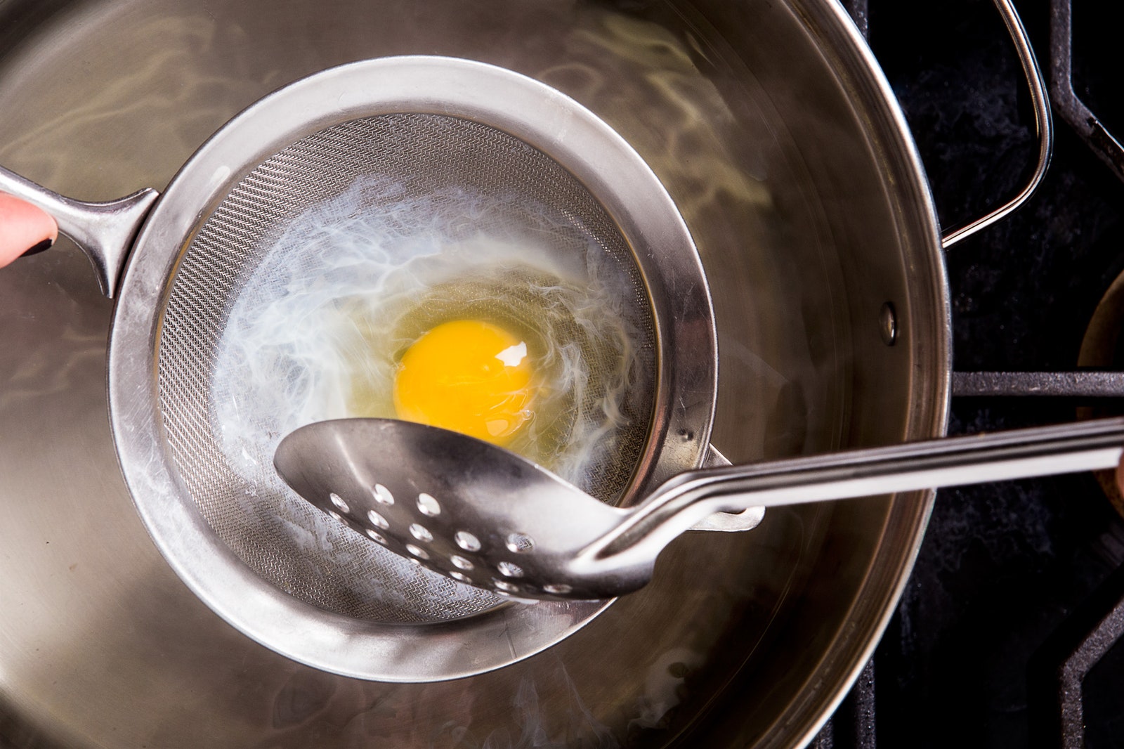 Shaping the Egg