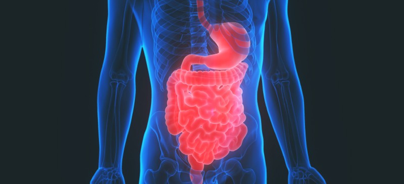 Malabsorption syndrome - Dr. Axe
