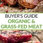 Buyer's guide organic & grass-fed meat - best meat delivery online!