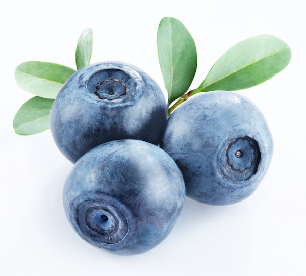 Isolated Image of Bilberries